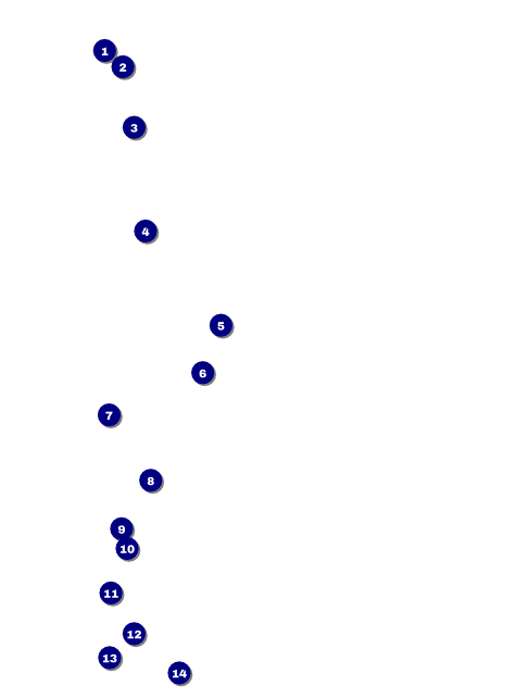 50th Anniversary Flyer Front Field Markers