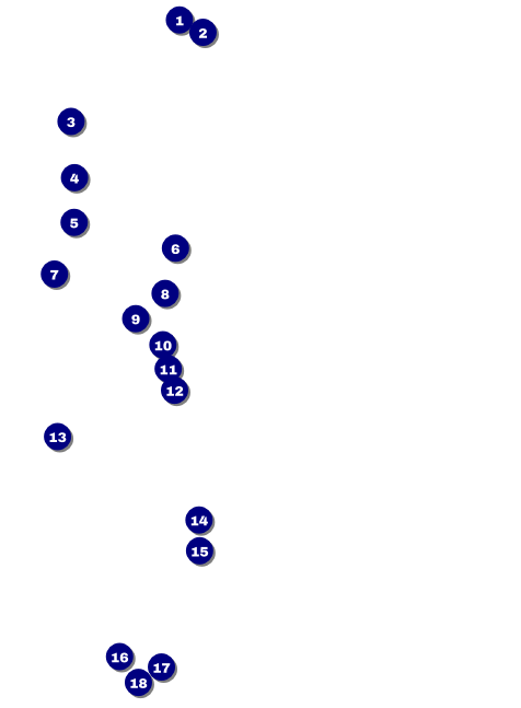 Twenties Invitation Front Field Markers