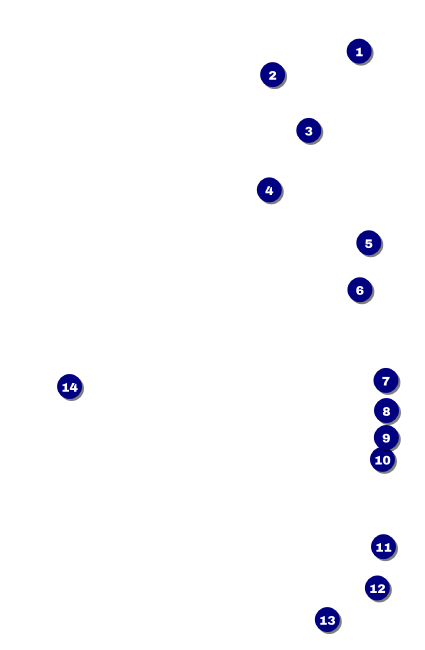 Vineyard VIP Event Badge Small Front Field Markers