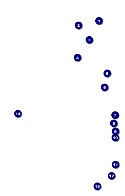 Vineyard VIP Event Badge Medium Front Field Markers