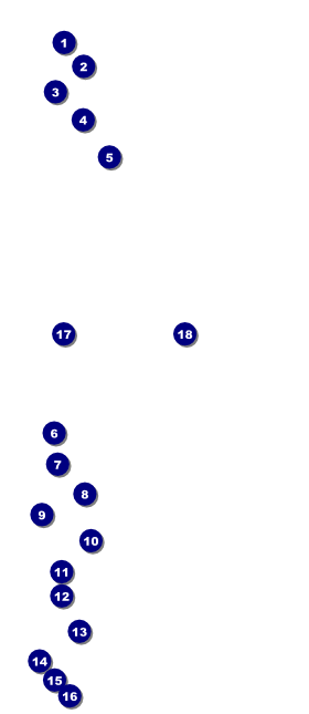 Run for a Cause (Yellow) VIP Event Badge Large Front Field Markers