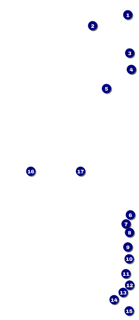 Prism Tree VIP Event Badge Large Front Field Markers