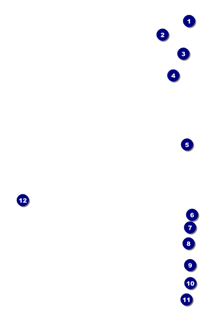 St. Patrick's Day Party Economy Event Badge Front Field Markers