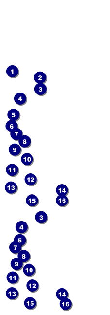 Chocolate Reserved Event Ticket Front Field Markers
