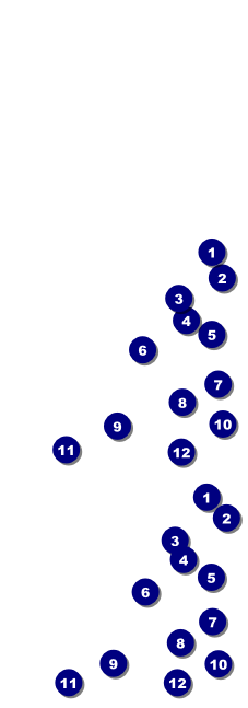Food Festival Reserved Event Ticket Front Field Markers