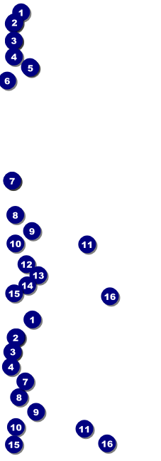 Lotus Flower Reserved Event Ticket Front Field Markers