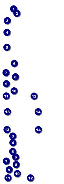 Music Festival Reserved Event Ticket Front Field Markers