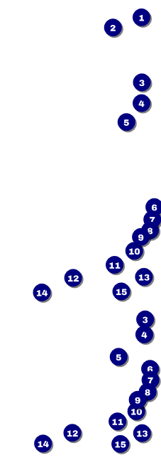 Prism Tree Reserved Event Ticket Front Field Markers
