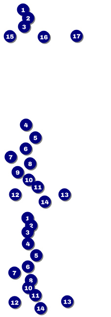 Run for a Cause Orange Reserved Event Ticket Front Field Markers