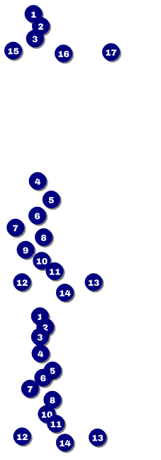 Run for a Cause Blue & Green Reserved Event Ticket Front Field Markers