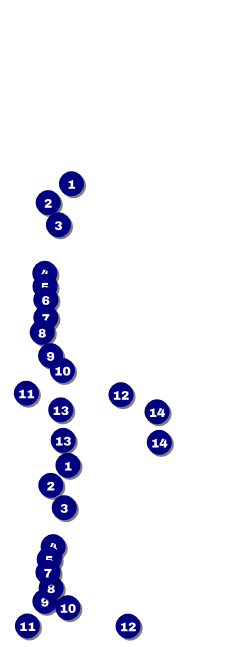 Merry Go Round Reserved Event Ticket Front Field Markers