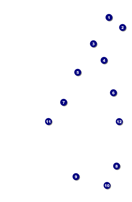 Nightclub Blue VIP Event Badge Small Front Field Markers