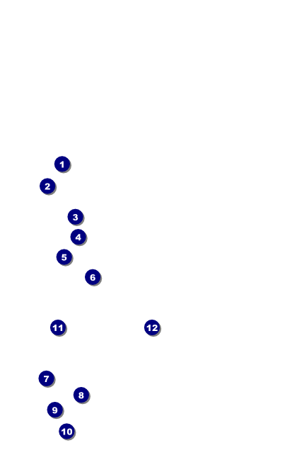 Gospel Praying Hands VIP Event Badge Medium Front Field Markers