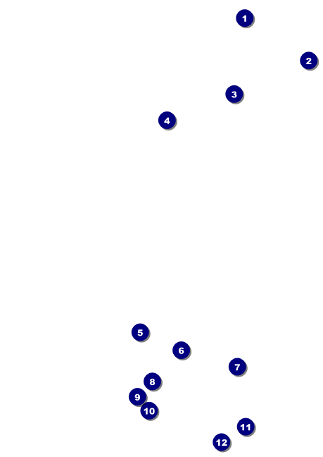 Reggae Lion Club Flyer Front Field Markers