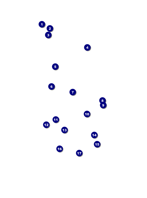 Spring Festival 3 Flyer Front Field Markers