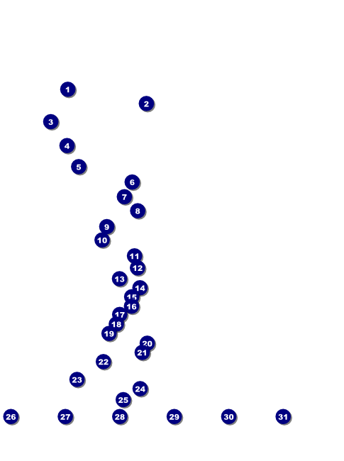 Blue Trout Flyer Front Field Markers