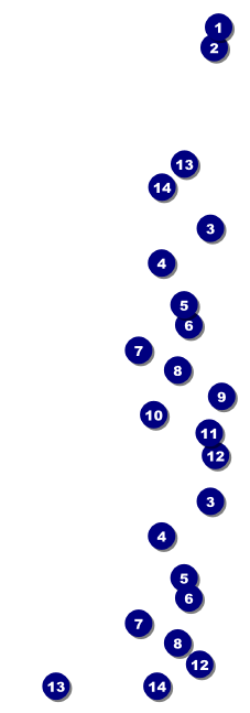 Chinese New Year Dog Event Ticket Front Field Markers