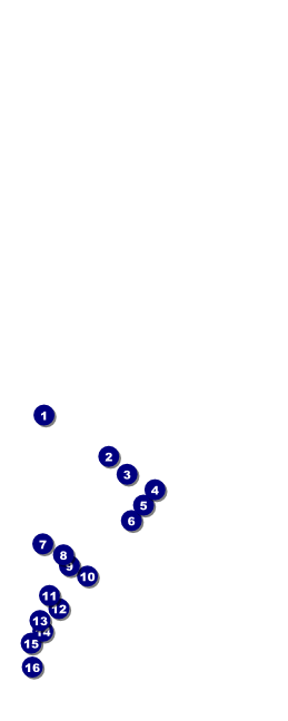 Oktoberfest Green Table Tent Front Field Markers
