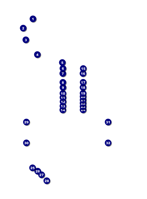Banjo Flyer Front Field Markers