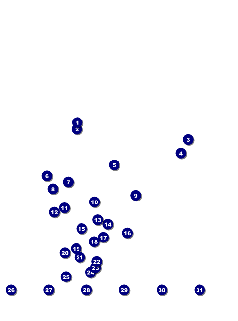 Cancun Flyer Front Field Markers