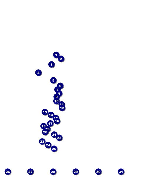 Gospel Flyer Front Field Markers