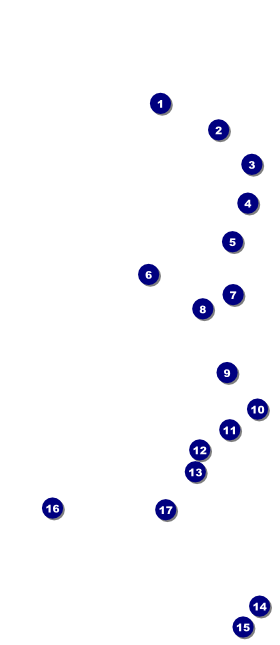 Holiday Lights VIP Event Badge Large VIP Event Badge Large Front Field Markers
