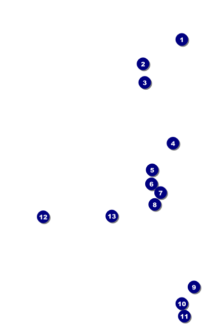 Mardi Gras Prom VIP Event Badge Medium VIP Event Badge Medium Front Field Markers