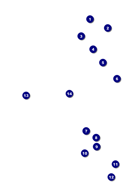 MMA Main Event 2 VIP Event Badge Medium VIP Event Badge Medium Front Field Markers