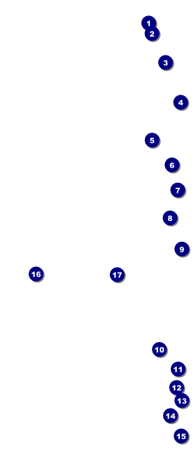 Star Theme VIP Event Badge Large VIP Event Badge Large Front Field Markers