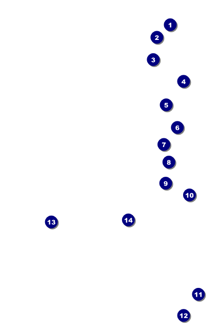 Funky Bottles VIP Event Badge Small Front Field Markers