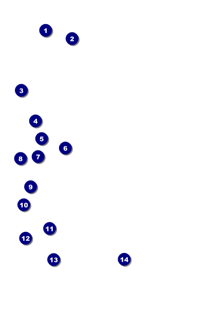Military Ball - The Salute VIP Event Badge Medium Front Field Markers