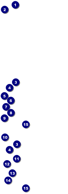 Bollywood General Admission Ticket Front Field Markers