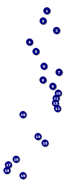 Stylish Rose Event Ticket Front Field Markers