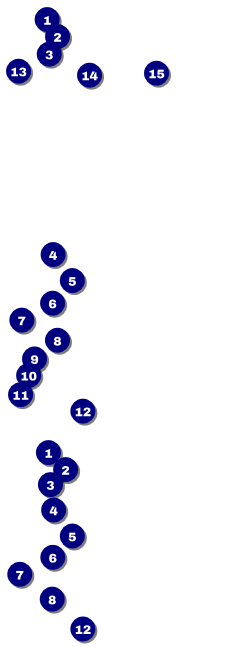 Run for a Cause Orange Event Ticket Front Field Markers