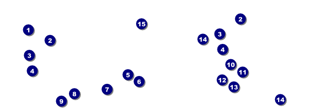 Paris Pink and Black General Admission Ticket Front Field Markers