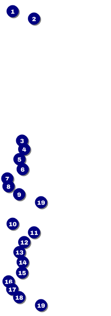 Cherry Blossom Circle Event Ticket Front Field Markers