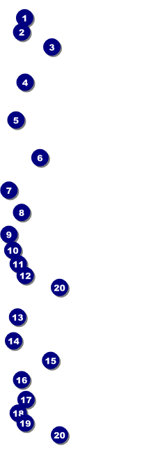 Chinese New Year Snake Event Ticket Front Field Markers