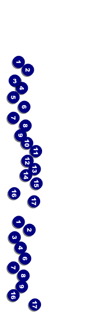 Film Festival Event Ticket Front Field Markers