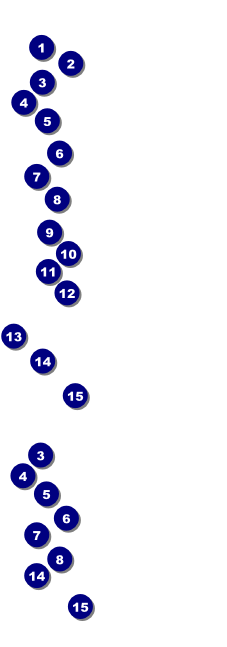 Rodeo Ticket 001 Front Field Markers