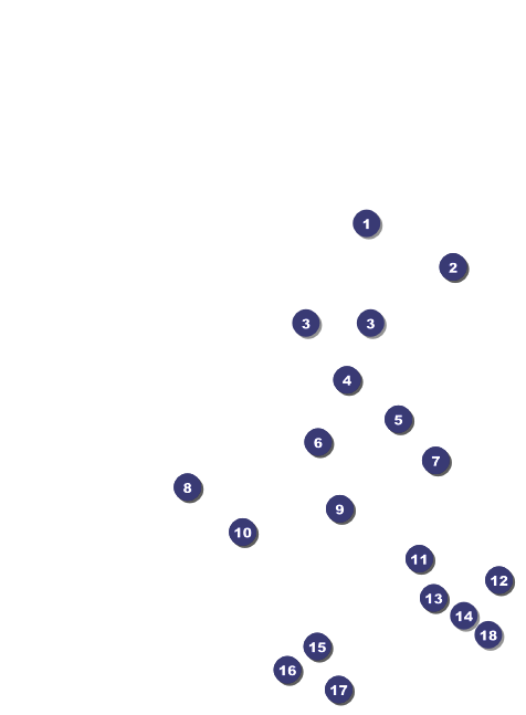Fireworks Invitation Front Field Markers