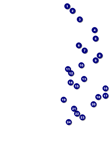 Camouflage Invite Front Field Markers