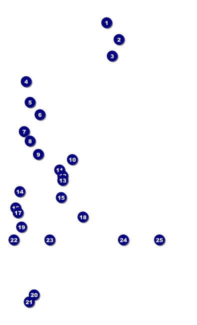 Special Olympic Show and Shine Poster Front Field Markers