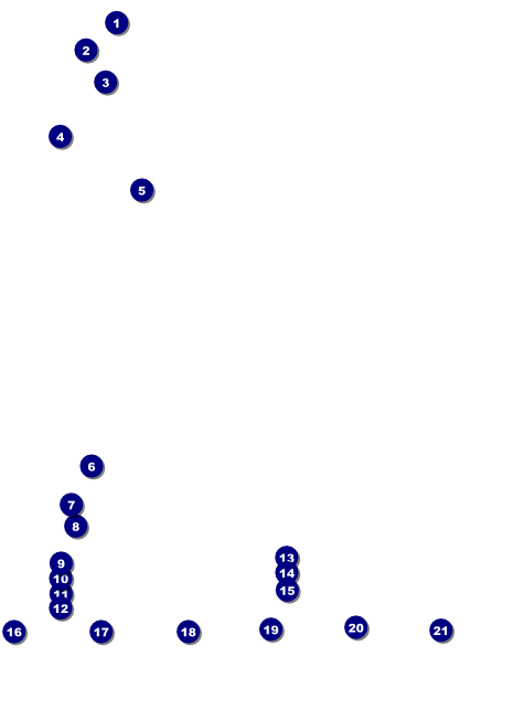 Santa Barbara Flyer Front Field Markers