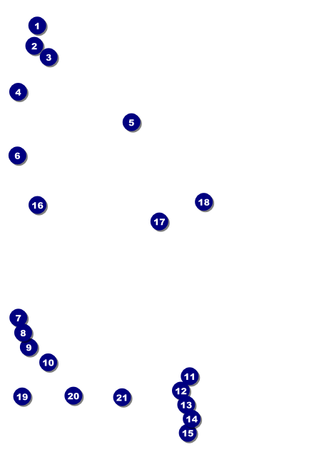 Roller Derby Pink Leopard Club Flyer Front Field Markers