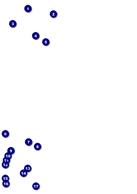 Ski Race Club Flyer Front Field Markers