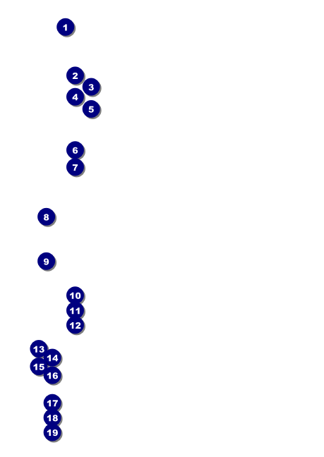 Rochester Club Flyer Front Field Markers