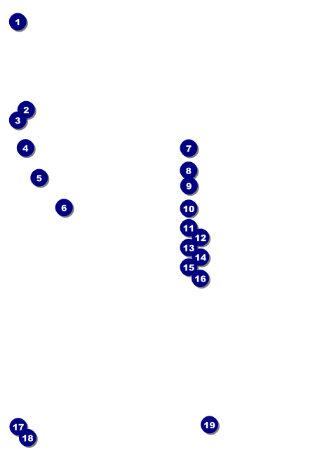 Chapel Hill Club Flyer Front Field Markers