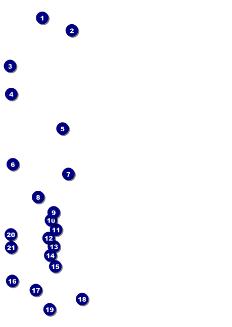 Animal Print Club Flyer Front Field Markers